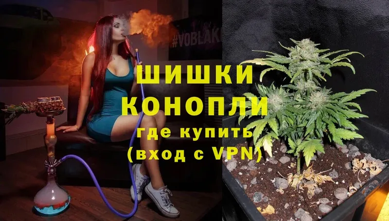 где найти   Карачаевск  МАРИХУАНА Ganja 